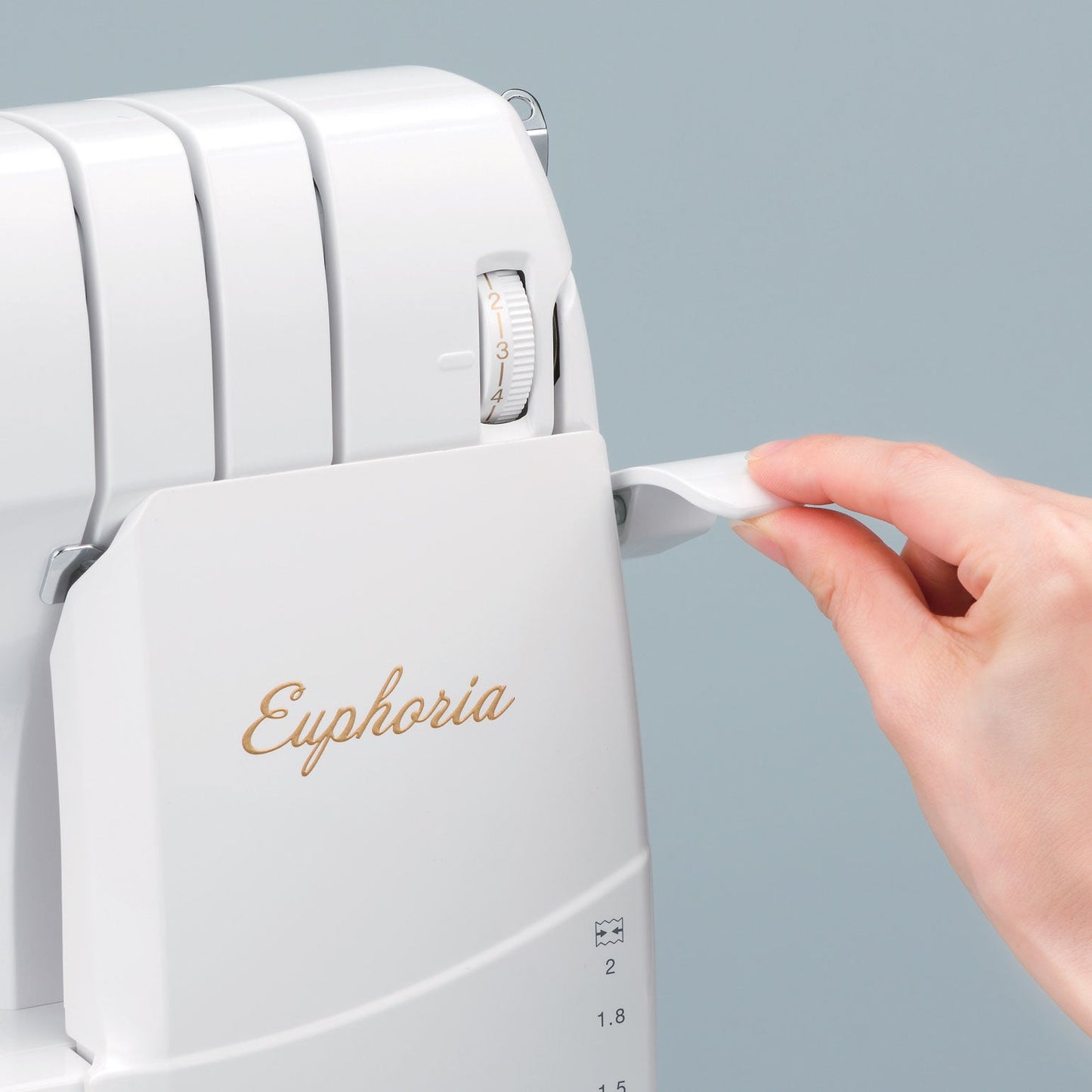 Euphoria